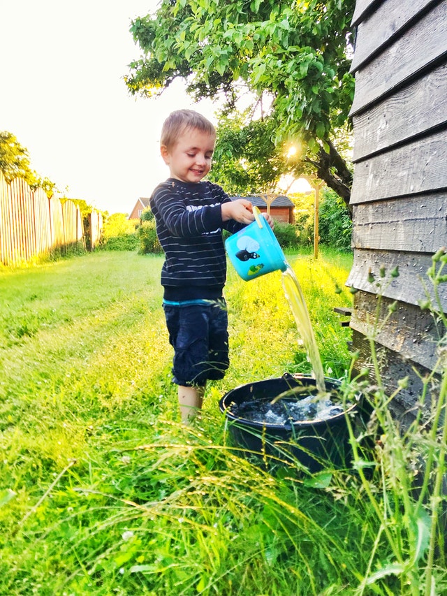 boy playing in the garden